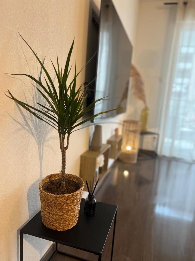 شقة T2 Cosy Ajaccio أجاكسيو المظهر الخارجي الصورة